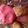 mokona♡'s cooksnap of when they made 洗う物なっしー！トースターokクッキー☆.