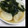ソウくんママ's cooksnap of when they made 蕪と生わかめの煮びたし.