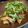 ٩(^‿^)۶'s cooksnap of when they made ナスだけで！簡単♪ナス南蛮.