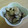 ミセスリチャード's cooksnap of when they made 【酒の肴】なすのみょうがさっぱり漬け.
