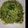はまさとさん's cooksnap of when they made 春菊のパスタ 和風ジェノベーゼ風.