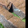 ellatnu's cooksnap of when they made ノンフラワー☆里芋チョコレートケーキ.