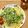 雪だま's cooksnap of when they made ツナと水菜の和風パスタ.