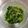 くいーんもも's cooksnap of when they made 菜の花の洋風おひたし.