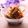 ぽっぽぺぺ's cooksnap of when they made はし休めに。きんぴらごぼう黒酢仕立て。.