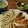 るんたった。's cooksnap of when they made 餃子.