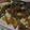 くっくのん's cooksnap of when they made ホッ。サバとお豆腐の味噌煮.