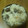 yurikuna's cooksnap of when they made 簡単！甘栗で栗ごはん♪.
