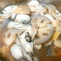 なかたんた's cooksnap of when they made ✿ぷりぷり♬♬牡蠣の煮付け✿.