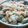 rii888's cooksnap of when they made おからのいり煮.