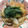 とむひま's cooksnap of when they made さつま揚げとしいたけのシンプル煮物.