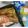 みたらしミカエル's cooksnap of when they made お弁当・鯵の干物♪.