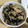 みゃみゃごと's cooksnap of when they made ほうれん草ともやしのサラダ.
