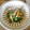 jagao's cooksnap of when they made 簡単！ちくわとニラのソテー.