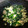 ねこさちさん's cooksnap of when they made ほうれん草とサバ缶(水煮)の卵とじ.