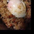 ちむき's cooksnap of when they made 妊婦のためのチャーハン☆便秘予防と鉄分.