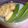 bergamoto's cooksnap of when they made オクラとがんもの煮物.