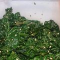 ルンルンバ's cooksnap of when they made すぐ出来る万能副菜！ほうれん草のごま和え.
