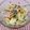 在宅勤務のおじさん's cooksnap of when they made キャベツ玉ねぎベーコンのマカロニサラダ♡.