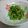 たけこ5766's cooksnap of when they made 簡単‼豆苗のツナおひたし.