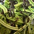 きぞぅ。's cooksnap of when they made こごみぜんまいの漬物！.