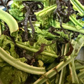 きぞぅ。's cooksnap of when they made こごみぜんまいの漬物！.