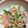リトルキャラメル's cooksnap of when they made これってトロかも・・・ねぎトロ丼.