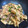 にこちゃんち's cooksnap of when they made ちょっとやみつき　豚と筍の梅しそ炒め.