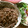 marilin36's cooksnap of when they made こうばしい牛のしぐれ煮.