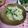 ＴＯＭＯＷＡＴ's cooksnap of when they made じゃがいもとセロリのじゃこ炒め.
