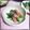 ＴＯＭＯＷＡＴ's cooksnap of when they made ＊生キクラゲの生姜醤油和え＊.