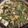 かおり2014's cooksnap of when they made すき焼き.
