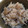 かーにょ's cooksnap of when they made マイタケ炊き込み御飯.