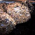 みつばちゅ's cooksnap of when they made 秋刀魚の梅大葉巻き♪.