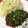 ガノッチ's cooksnap of when they made ヘルシーおつまみ！鯨肉のオイスター炒め.