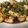1214yui's cooksnap of when they made 鳥の唐揚げねぎソース♪.