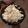 ビバリー's cooksnap of when they made キャベツとにんじんのコールスローサラダ。.