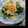 わく智's cooksnap of when they made ★きのこと小松菜のおろし和え★.