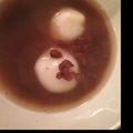 saori2430's cooksnap of when they made 簡単ぜんざい.