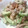 shokolat's cooksnap of when they made ★簡単まろやかゴーヤとさんまの缶詰和え.