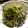 Satoco❋'s cooksnap of when they made もやしとひじきの梅マヨ和え.