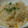 gonchan548's cooksnap of when they made 炊飯器で簡単ピラフ.