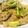 サトモユリア's cooksnap of when they made 残り野菜で五右衛門風スパゲティ.