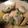 くん55's cooksnap of when they made お手軽！はまぐりのバター蒸し.