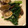 くーことむーち's cooksnap of when they made 10分でできて超簡単♪あさりと小松菜炒め.