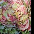 ひぐせと's cooksnap of when they made あったかチーズの白菜ミルフィーユ鍋♪.