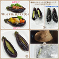 しーくれっと・らいふ's cooksnap of when they made うちの味☆レンジで速攻今すぐ♪蒸しなす器.