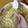 ぺあやの's cooksnap of when they made 簡単もやしたっぷりラーメン.