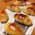 かだやし's cooksnap of when they made バター未使用な☆ミルクバターロールパン.