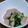 ケンチャナヨ～'s cooksnap of when they made かぶの葉、茎炒め.